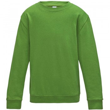 Kids AWDis sweatshirt