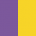Purple / Sun Yellow