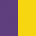 Purple / Sun Yellow