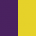 Purple / Sun Yellow